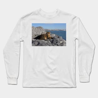 Istanbul Cat Long Sleeve T-Shirt